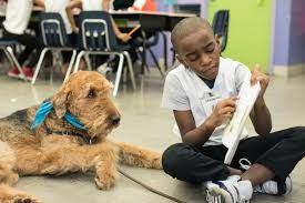 Read To A Dog (Gr K-